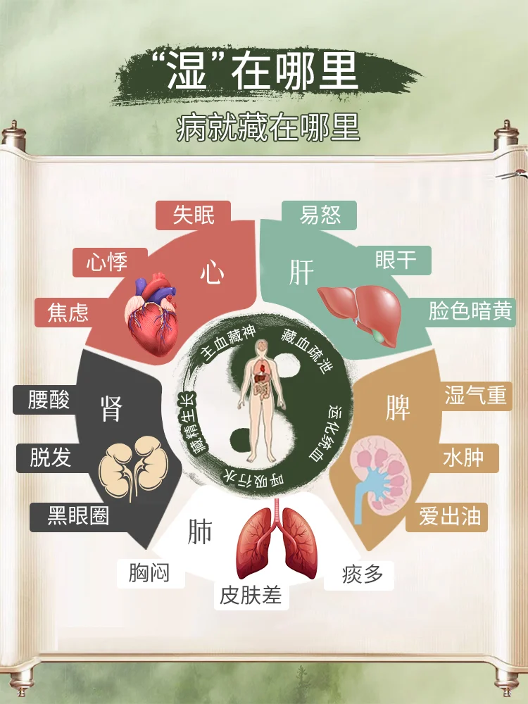 五脏六腑养生｜“湿”在哪里 病就藏在哪里