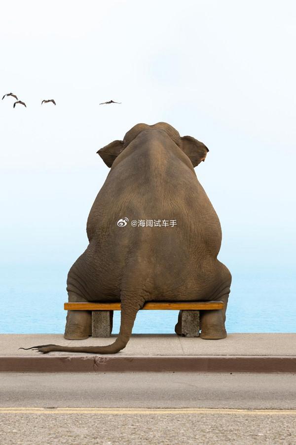 三月份乘用车下滑15%，新能源汽车销量下滑21%，四月份呢？？？ 海阔试车超话