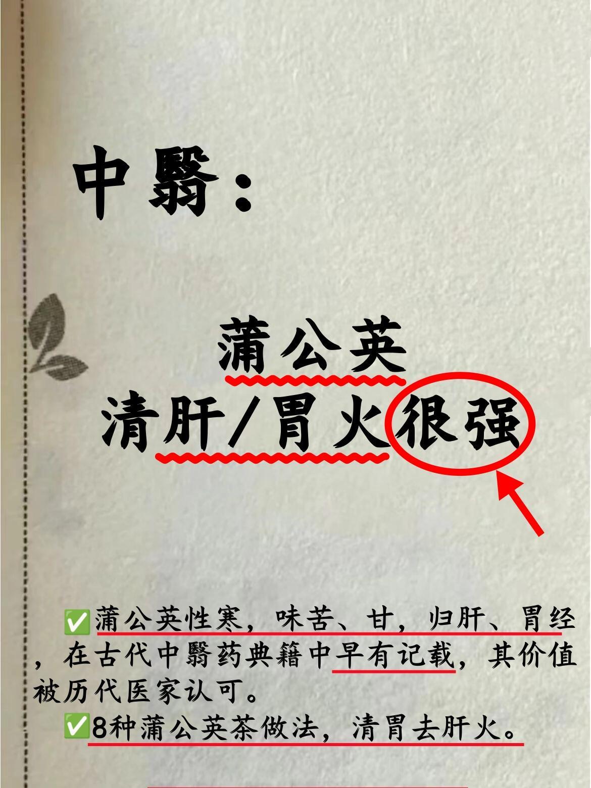 蒲公英茶清两火，口苦熬夜党必看！🌿蒲公英性寒，味苦、甘，归肝、胃经，在古代中翳