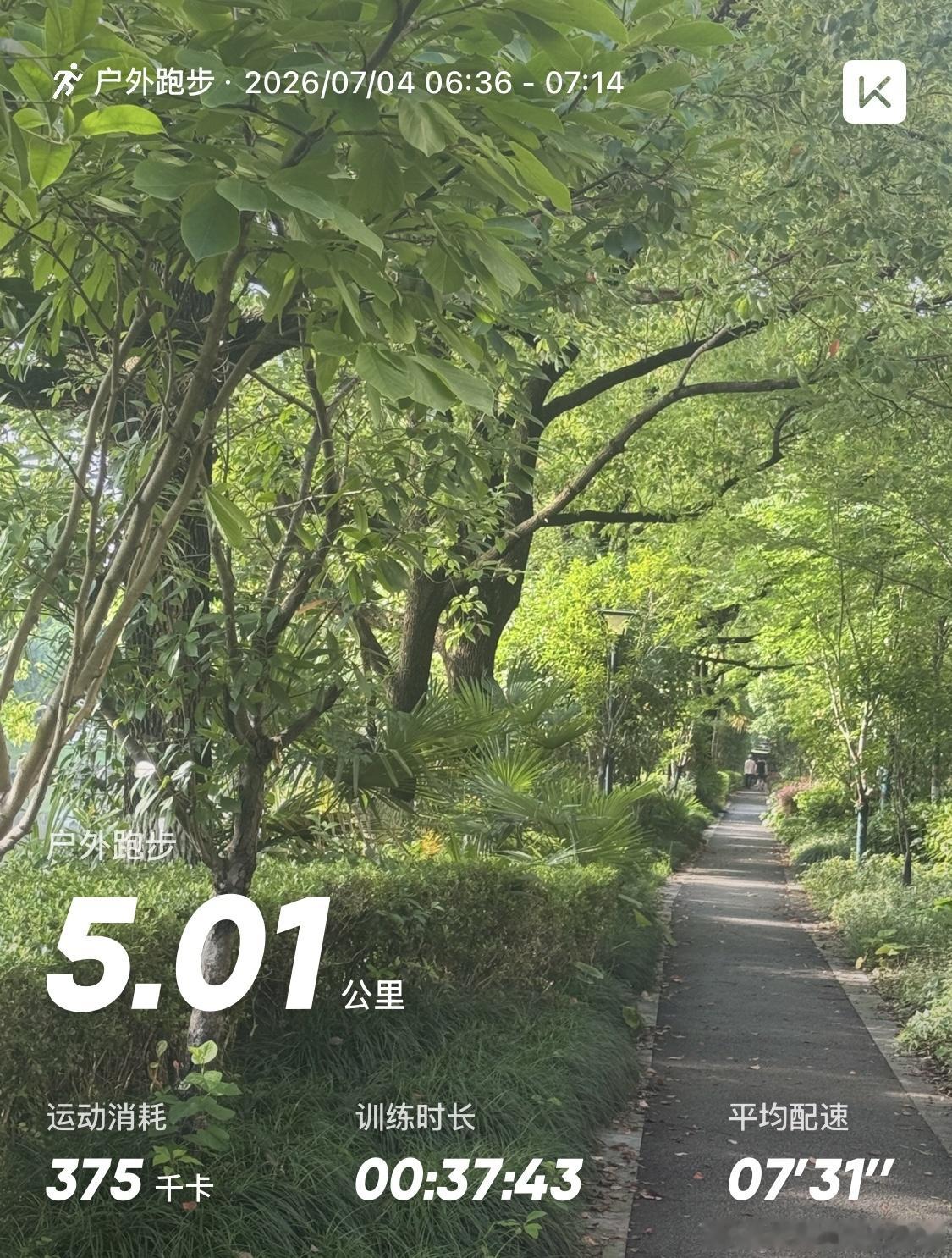 早安，周末愉快早起跑了5公里，汗如雨下这次的牛腱子是用你的方法煮的，电饭锅版，