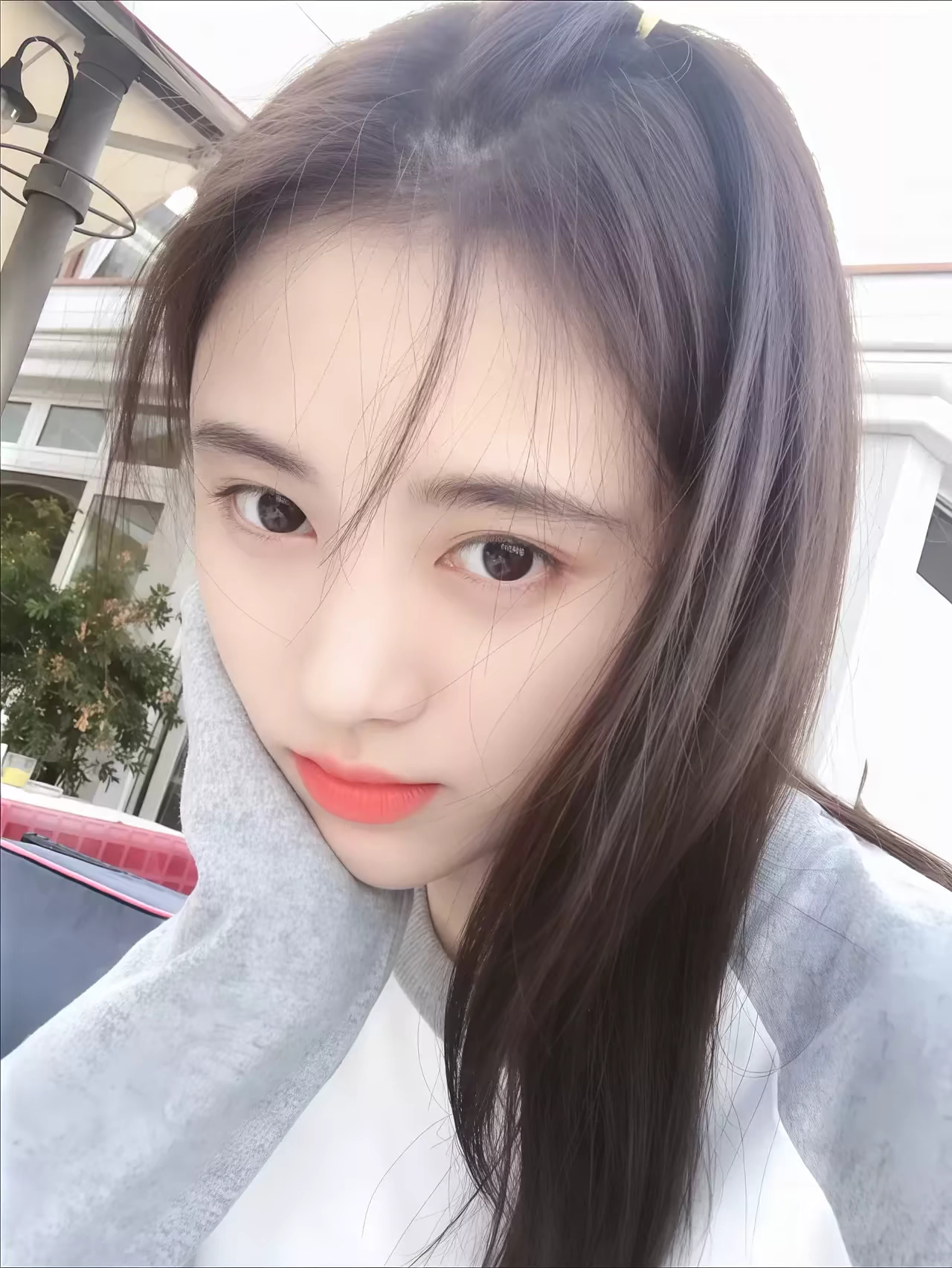 鞠婧祎  jjy鞠婧祎千香 jjy鞠婧祎姜黎非 我們纠缠一辈子吧，直到。世界毁减