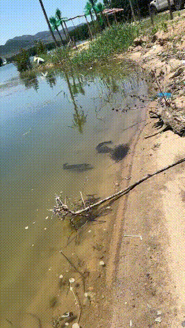 伤害性不大，侮辱性极强！[发怒]