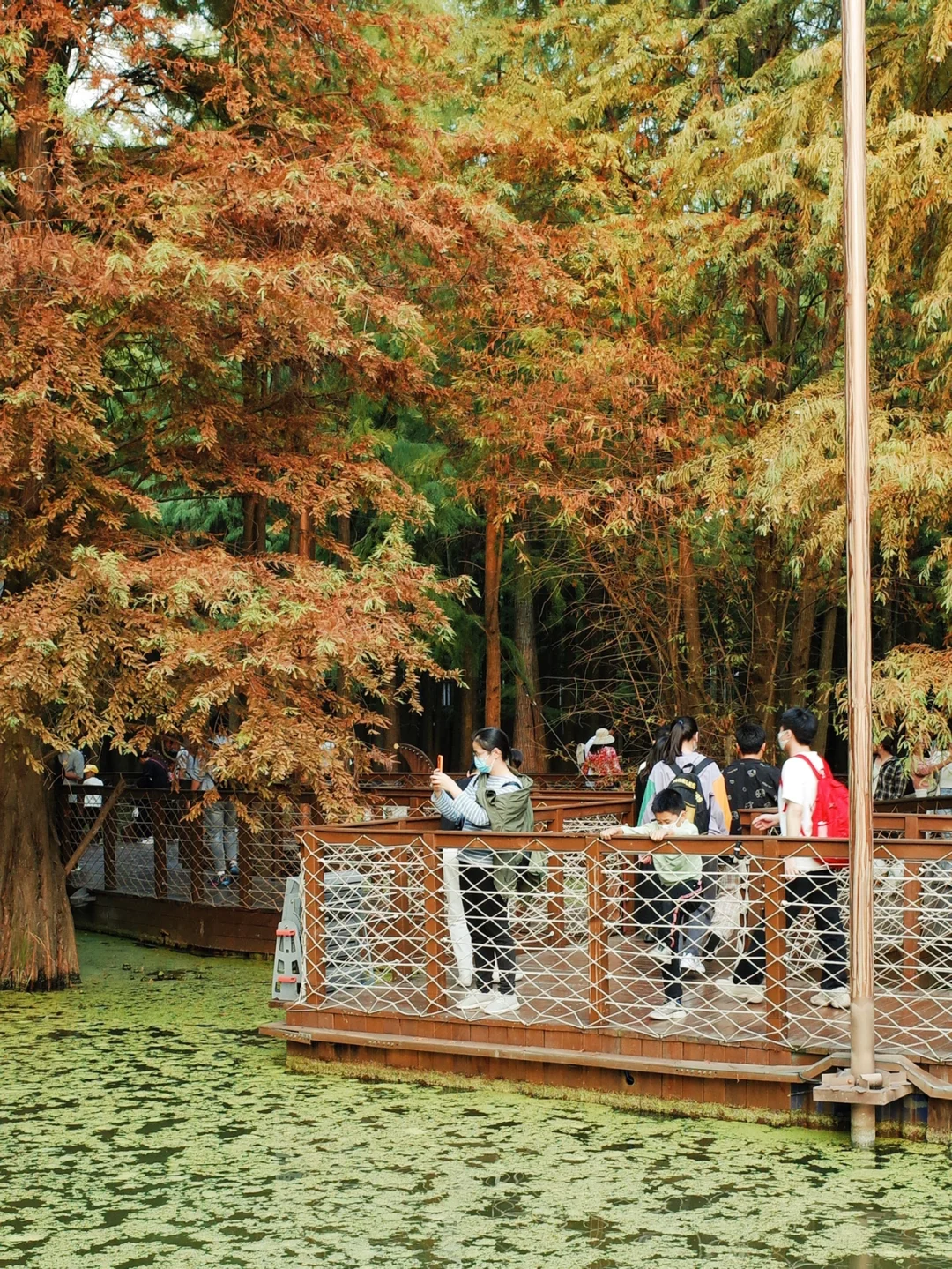 去了杭州365次，还是最喜欢这里😩.....