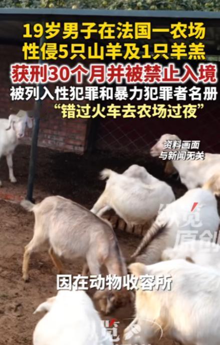 “没救了！”6 月 24 日报道，法国，一男子比较变态，他的欲望无处发泄，竟潜入