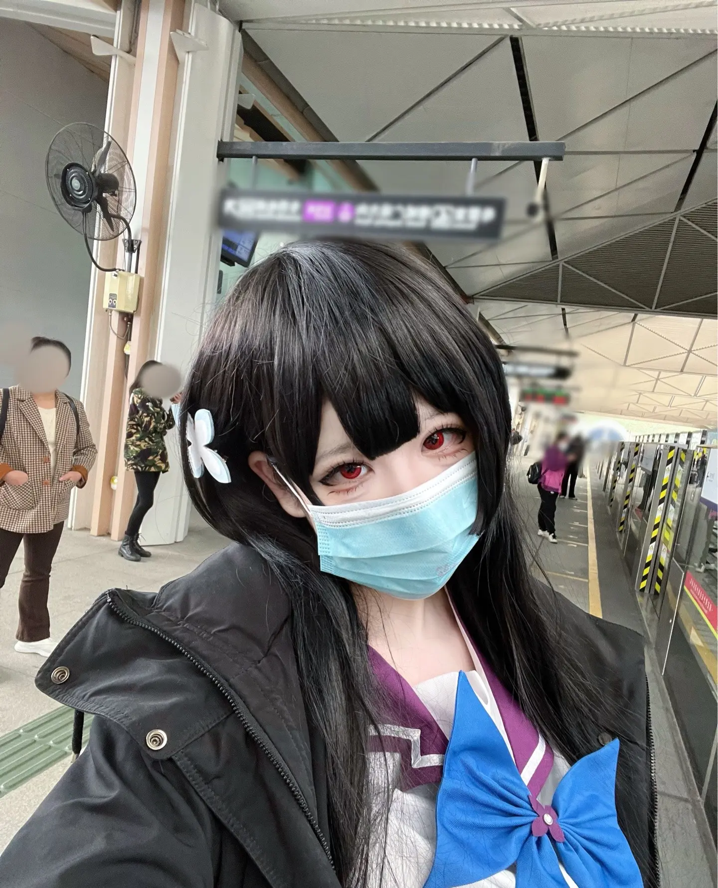 这期拍什么