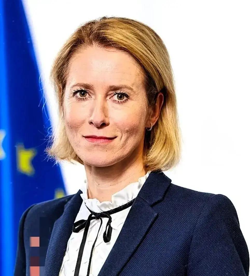 意大利记者特拉瓦利奥评卡拉斯时表示：“我听到卡拉斯讲话时，欧洲怎么会落到这种蠢货