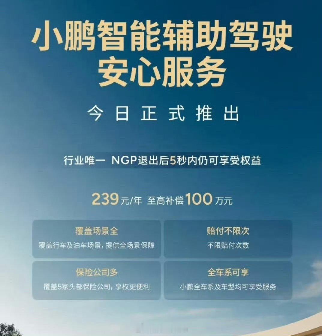 小鹏这个智驾安心服务在智驾退出5秒内仍可以享受权益。 