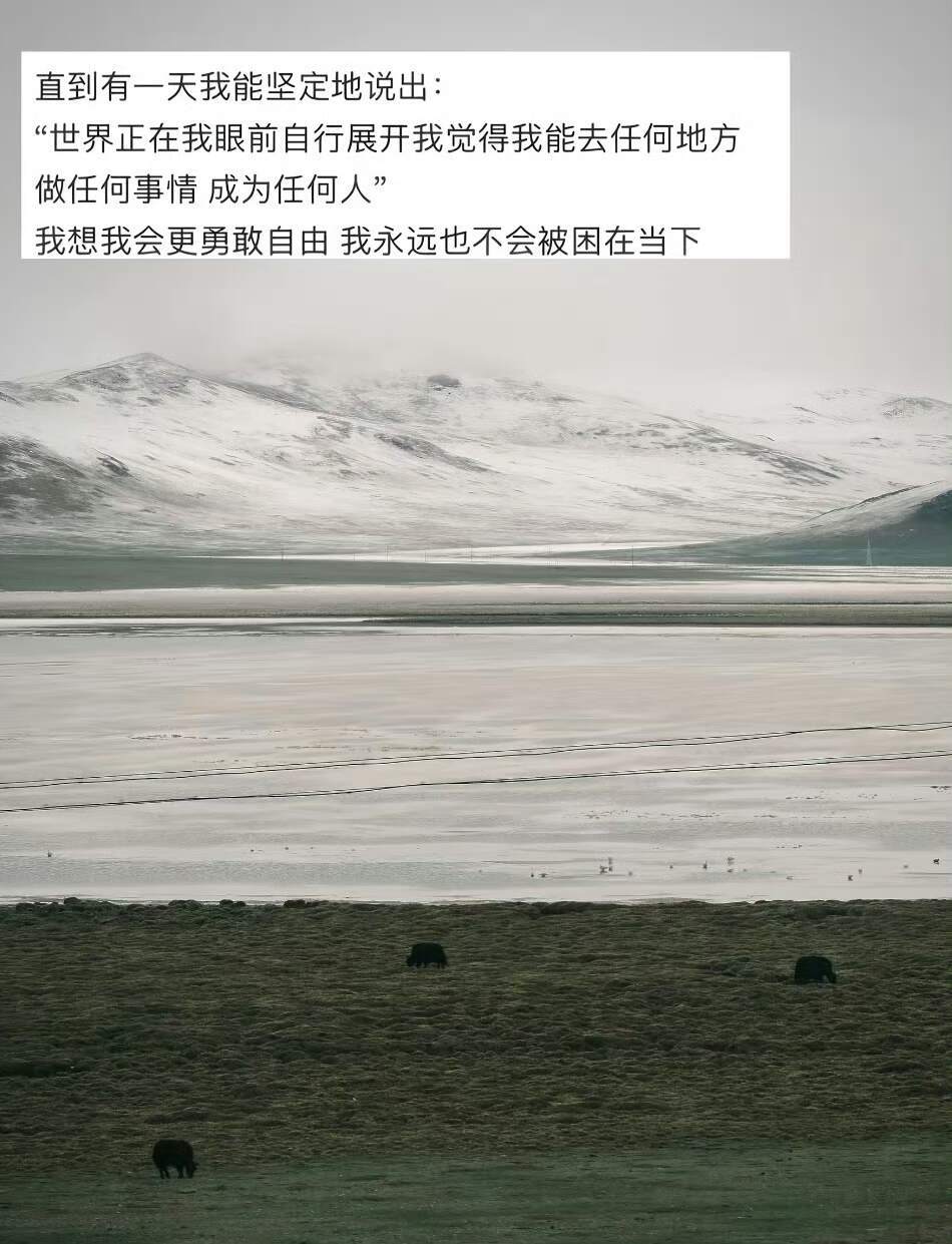 要有多少阅历才能说出这么通透的话 