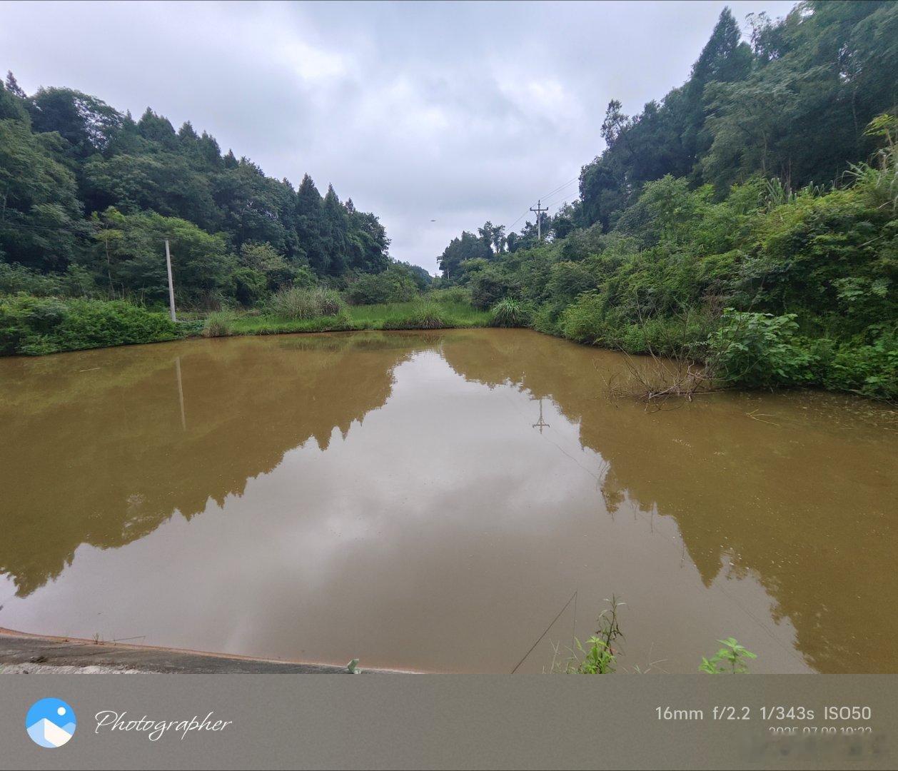 虾从田里捞，蟹从淮安来。成都生活[超话] ​​​