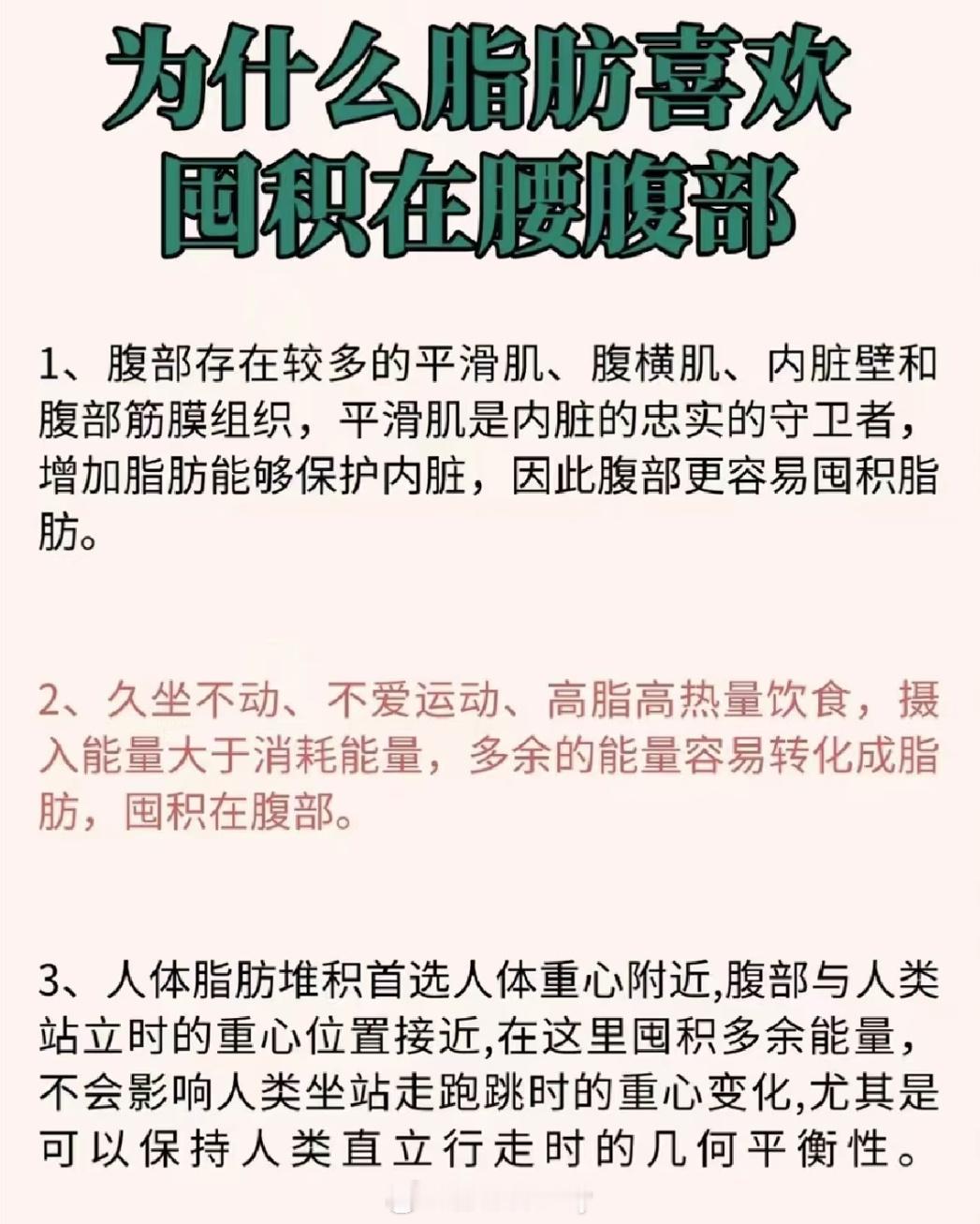 为什么脂肪喜欢囤积在腹部如何减去腹部脂肪？ 