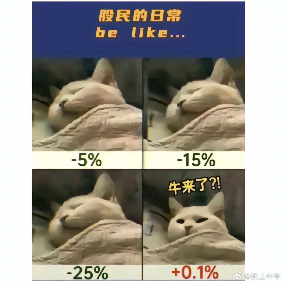 为何我对抄底无怨无悔？为何我不管账户亏损，依然只选择用跌买的方式去抄底？股票买入