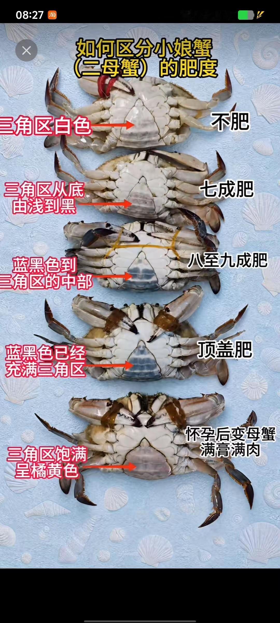 “选螃蟹方法。” ​​​