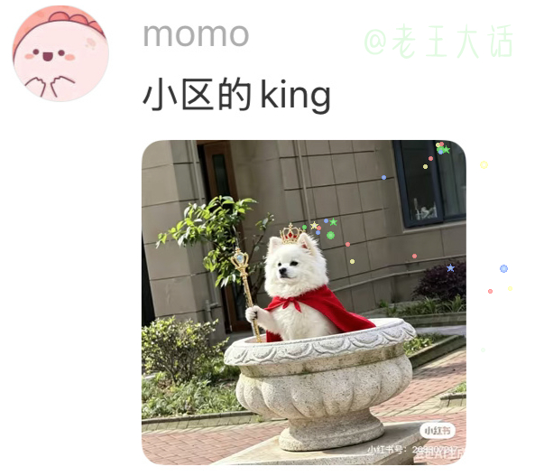 小区专属保安海豹