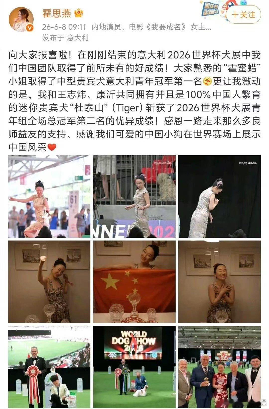霍思燕的狗拿奖了霍思燕的狗拿了世界冠军 哇 