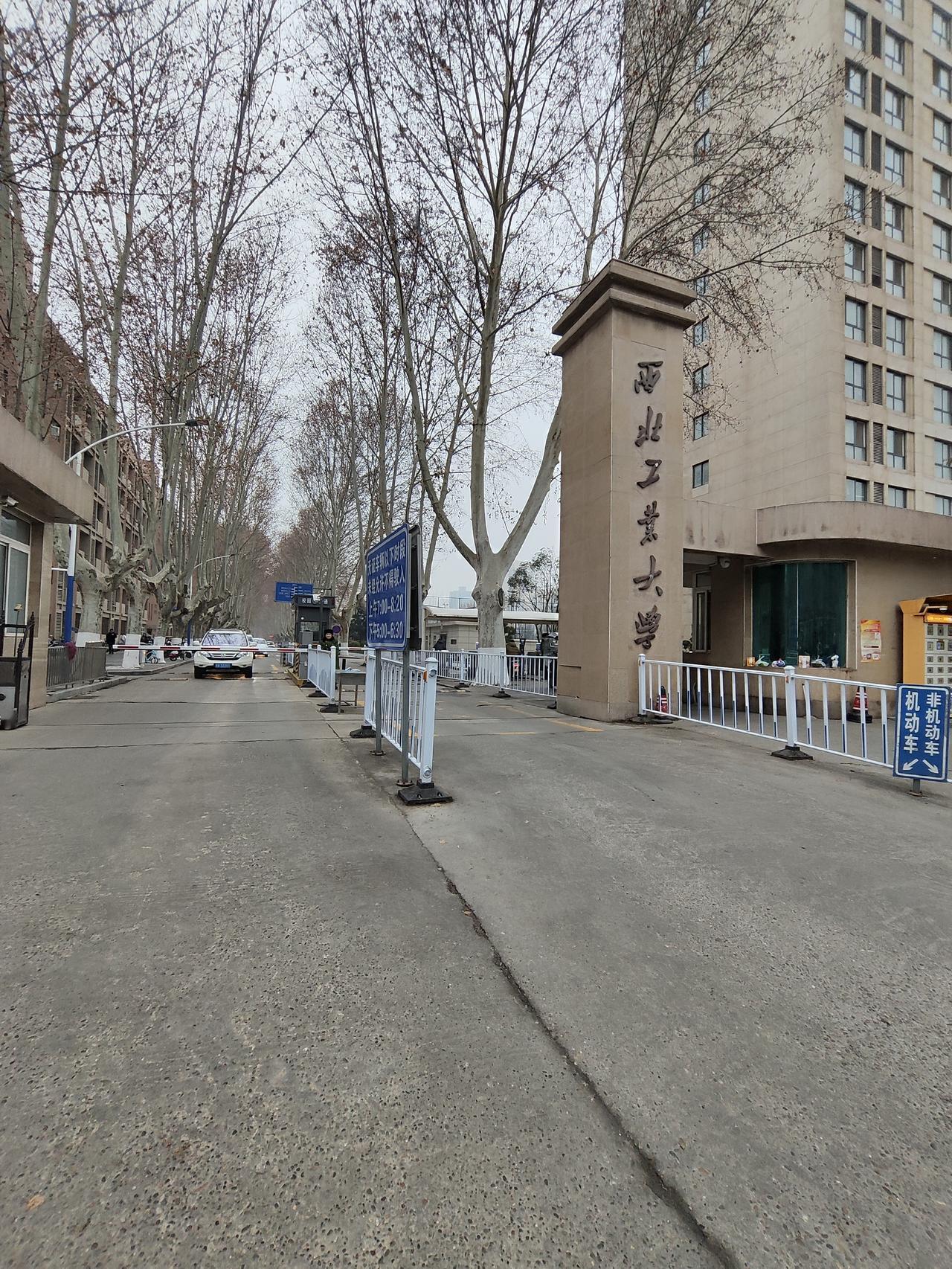 今年冬天的不同