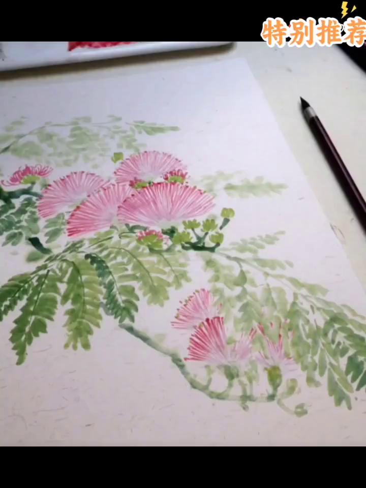 合欢花绘画示范。
中国节画造退院。
特别推荐。