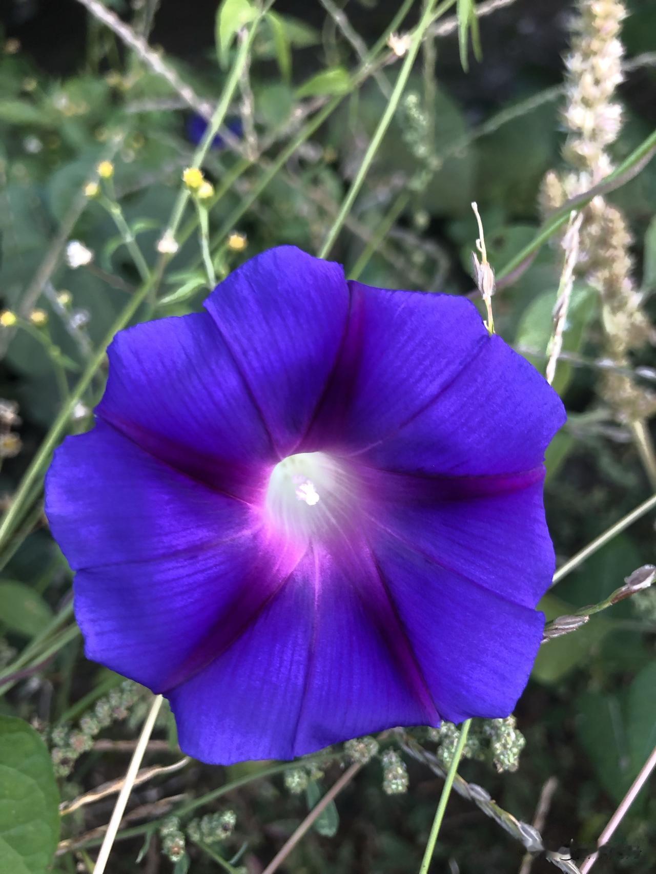 新国补太香了！首月1613万人薅到换新福利，省钱又省心

家人们，消费品以旧换新
