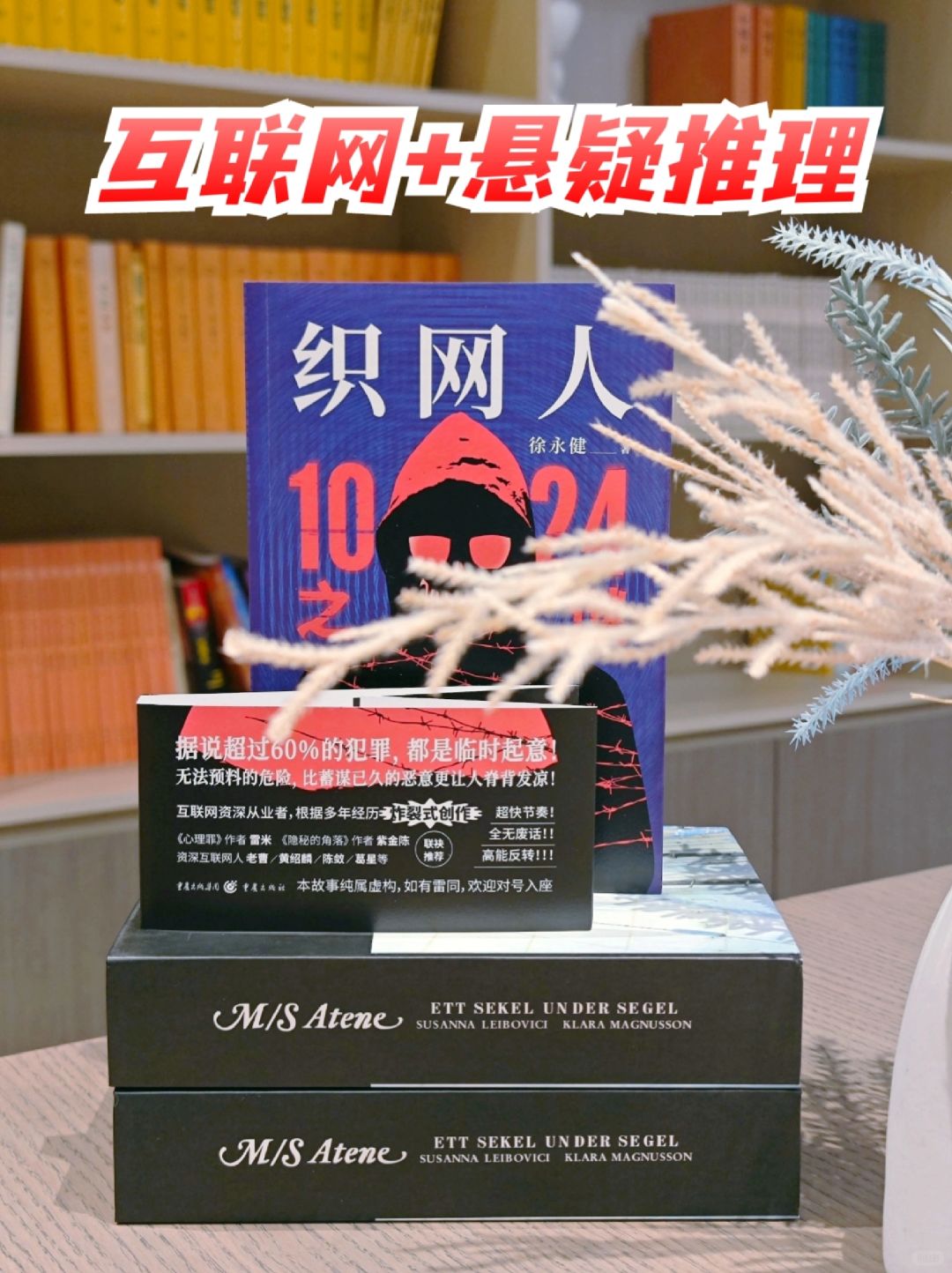 1024连环谋杀案，互联网人必看的悬疑小说～