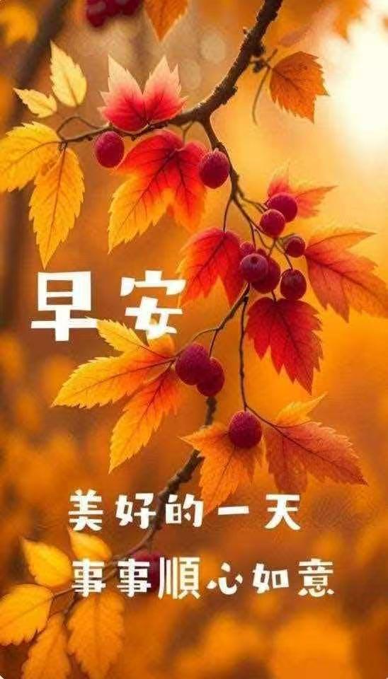 没有天，很多事会无法无天。
宇宙，有秩序，用一种我们无法想象的，权威的、稳定的、