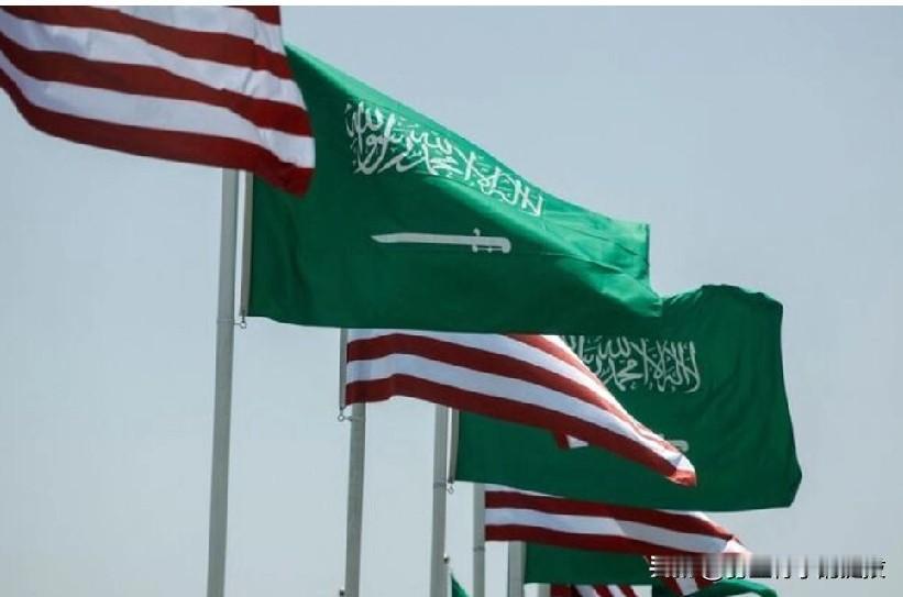 文件显示，美国撤销对沙特拟议核协议的保护。
华盛顿，2 月 19 日（路透社）—