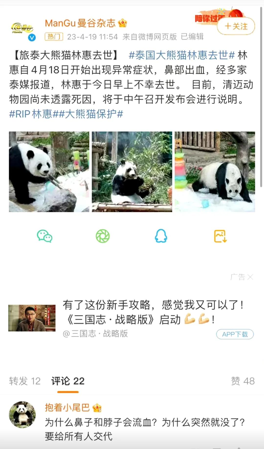 过完年，已经有2只大熊猫克死异乡了，国宝如此待遇，令人费解！

尤其旅居泰国这只