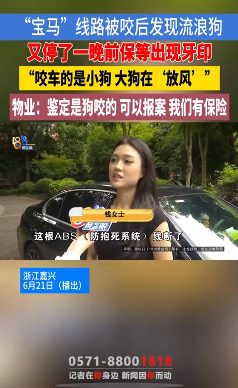 万万没想到！浙江，一女子的宝马在地库停了一夜，第二天竟警报灯全亮，彻底趴窝。她急