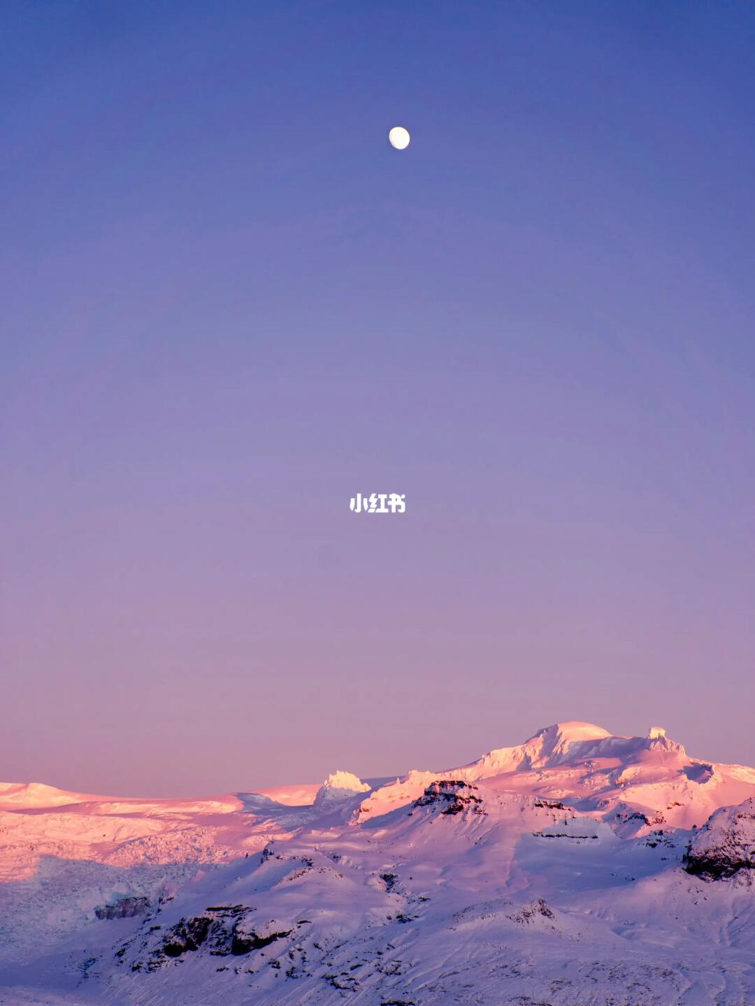 看看不加tag会推给哪些MBTI和星座