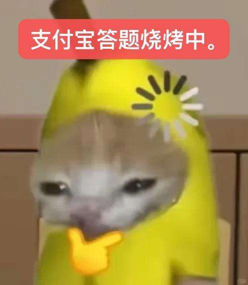 支付宝送题车来上海整活儿了首页都在发送题车，车身上写着“支付宝开题了”。同事说是
