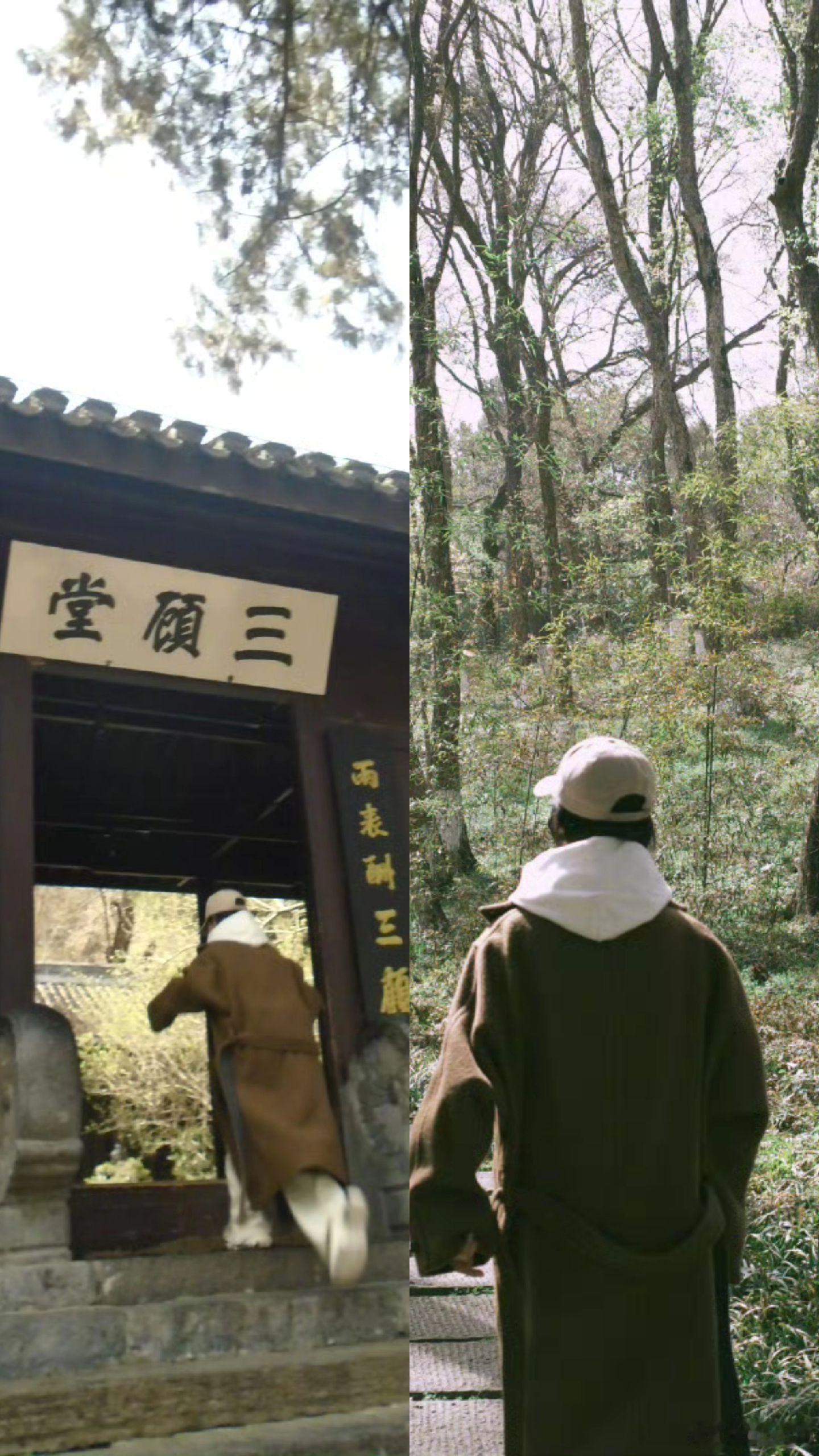 她是我的精神支柱，甚至成为我生命的意义#杨紫# ​​​