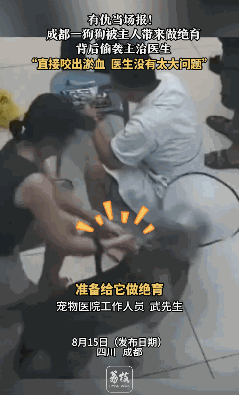 [微风]“有仇当场就报了！”四川成都，女子出于对狗狗健康考量，花费千八百块带狗狗
