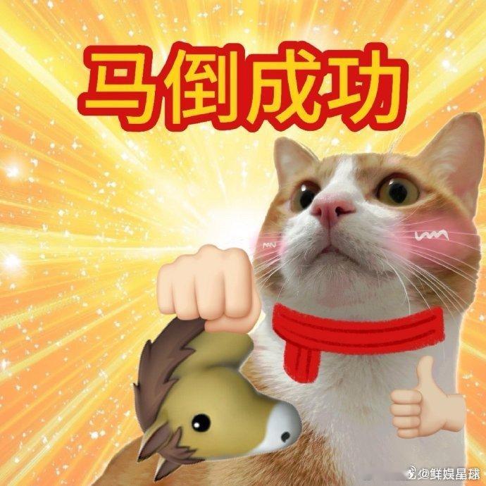  2026马年爱己模式已开启2026年春晚义乌分会场 马年首份爱己指南！锁定义乌