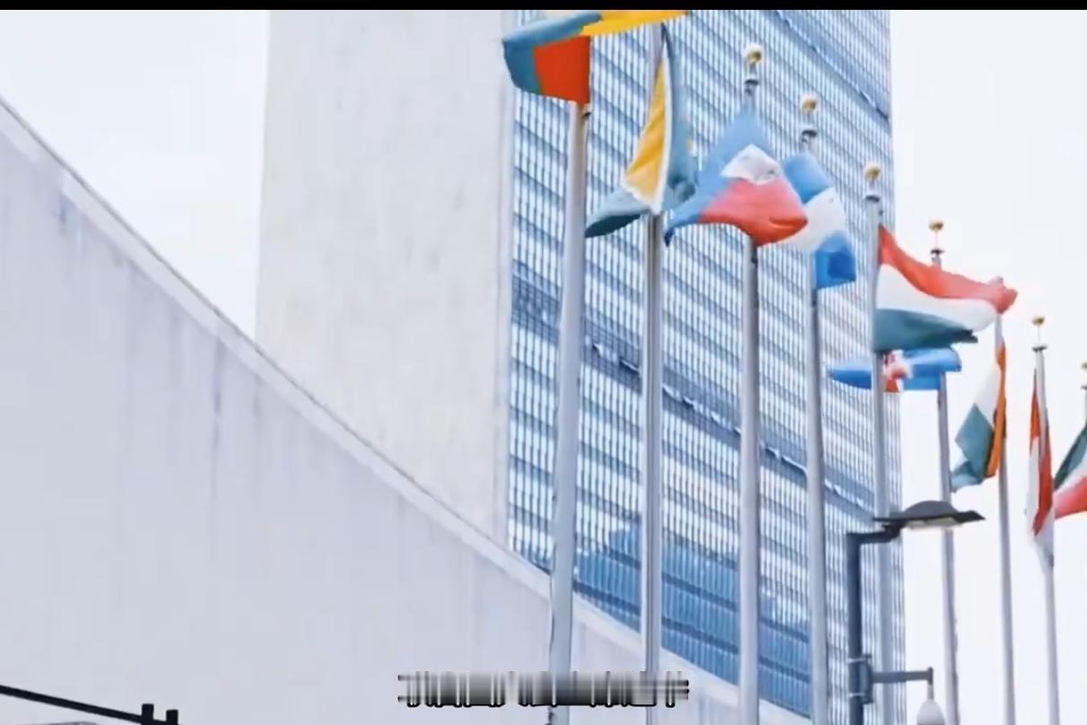 联大爆冷！西方“世袭剧本”当场演砸
 
从前联合国选举，就是西方的私人排片：内定