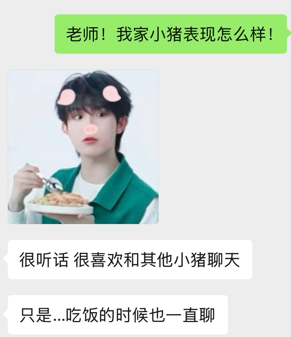 【4577】他只是只小猪啊！