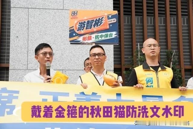 侯汉廷、游智彬高喊：“让新党多一席，让绿营少一席”。新党是维护统一的重要力量，国