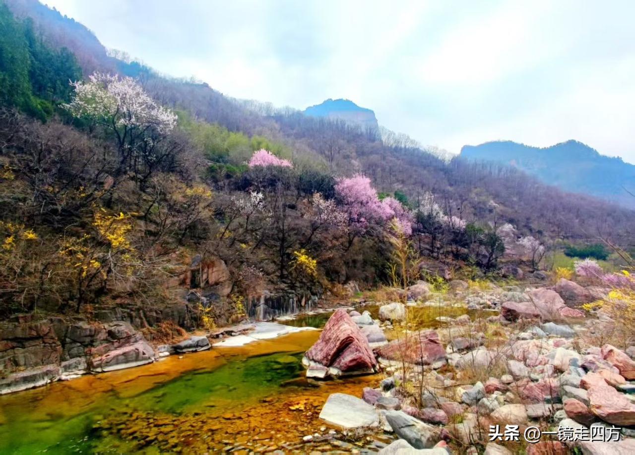 桃花湾位于河南新乡八里沟景区入口段，是进入太行山水的第一处秀美景致。这里潭水清澈