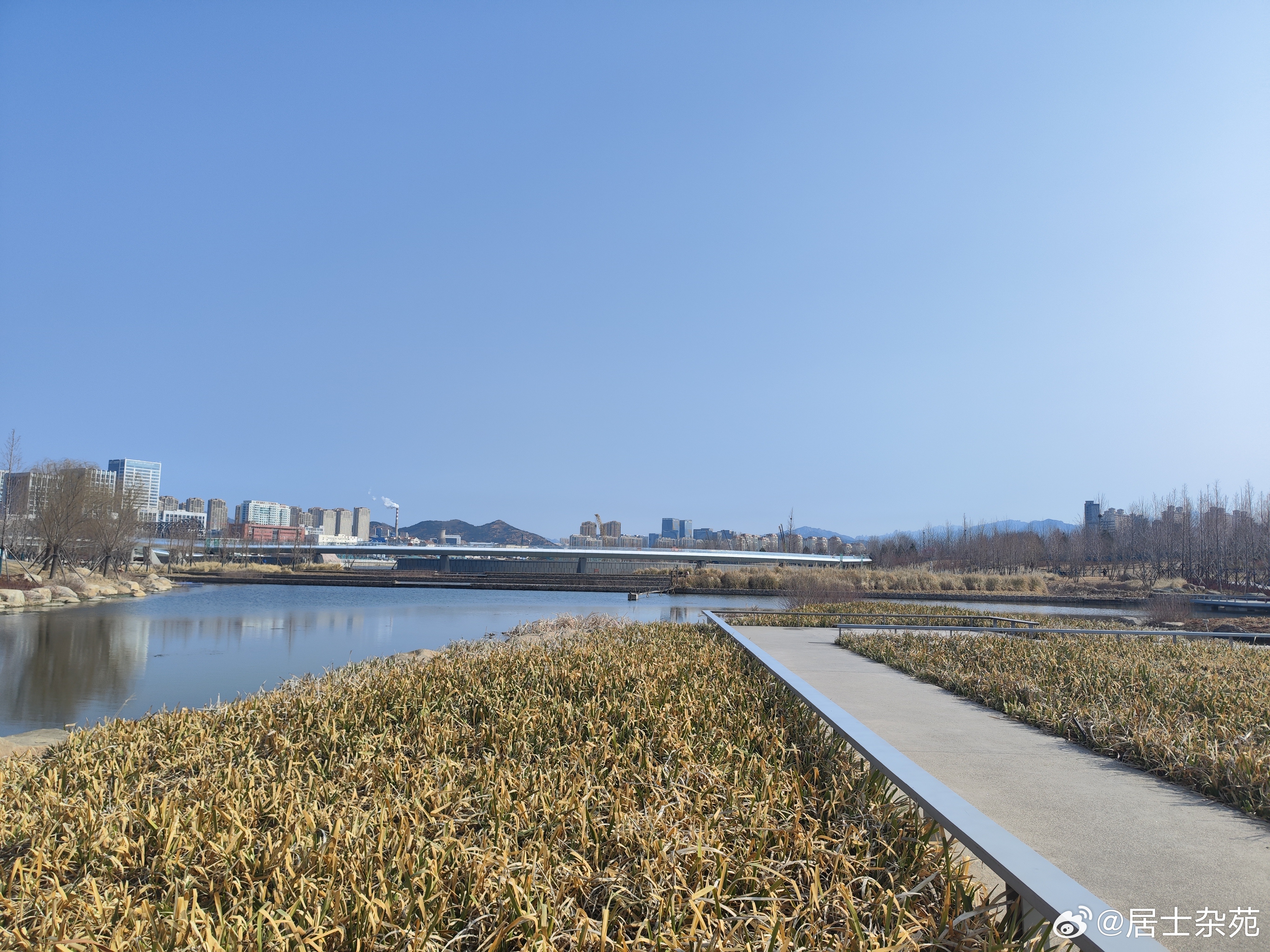 张村河生态湿地公园的春天慢慢爬上来了 青岛·张村河生态公园