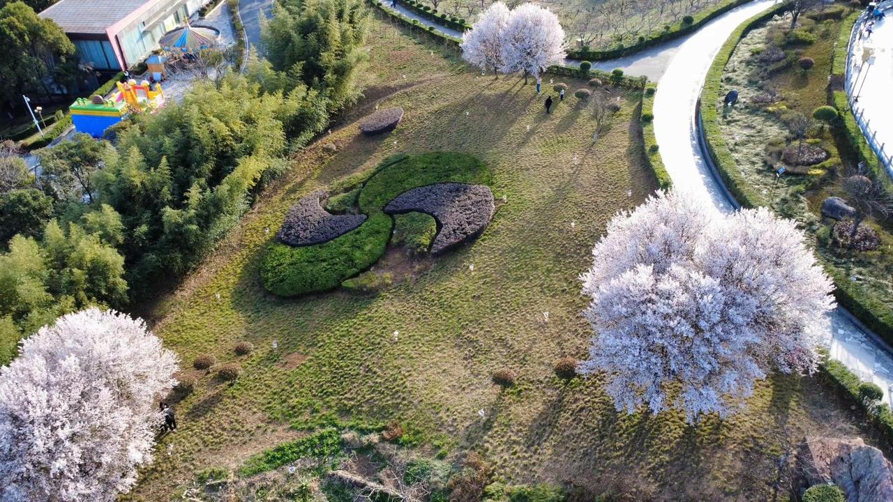 山河回暖，草木含香，不负春日好时光。
