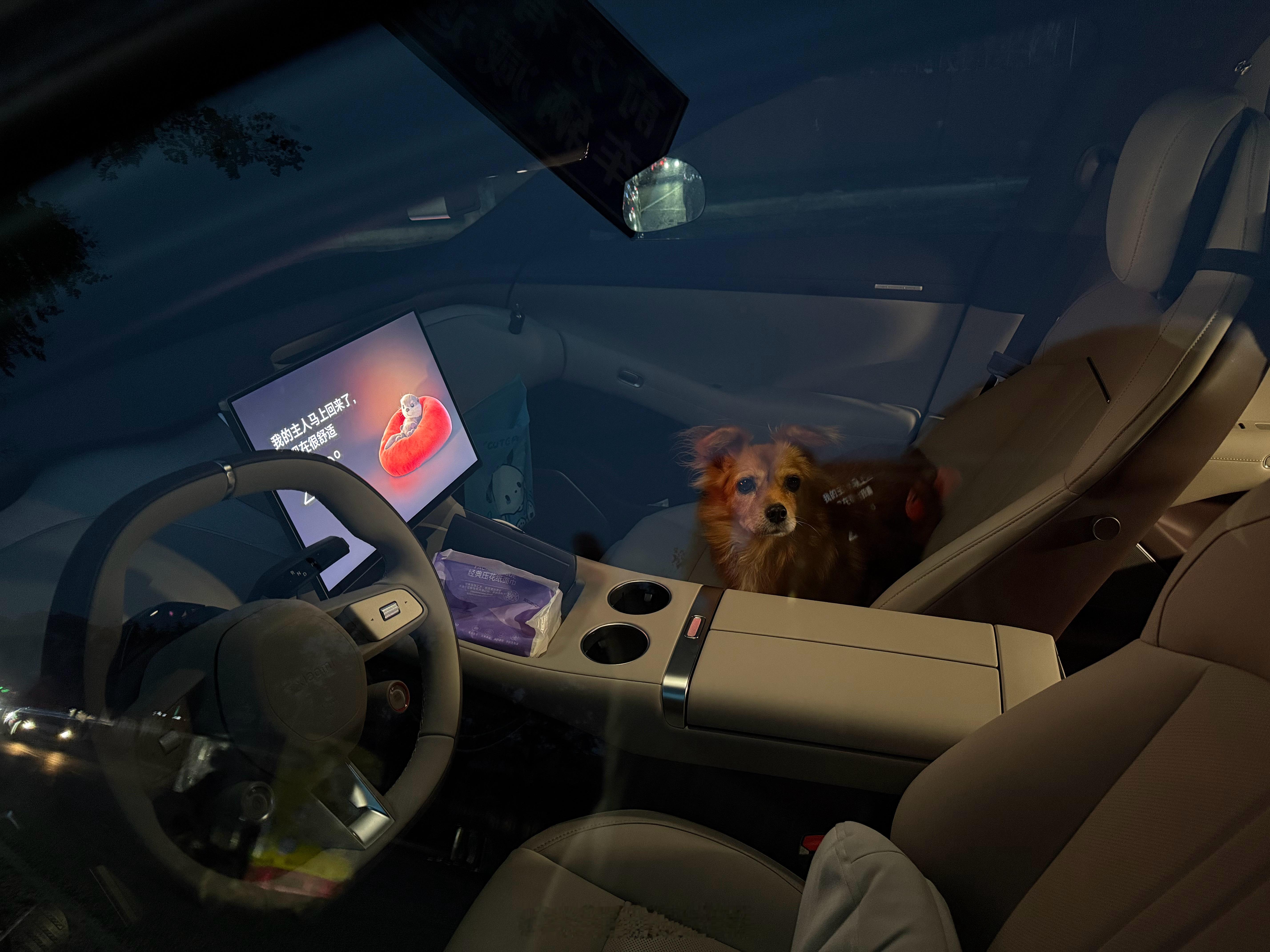 因为宠物友好车真的很友好，我们有狗家庭出门狗狗走哪儿带哪儿。有些地方不方便去的就