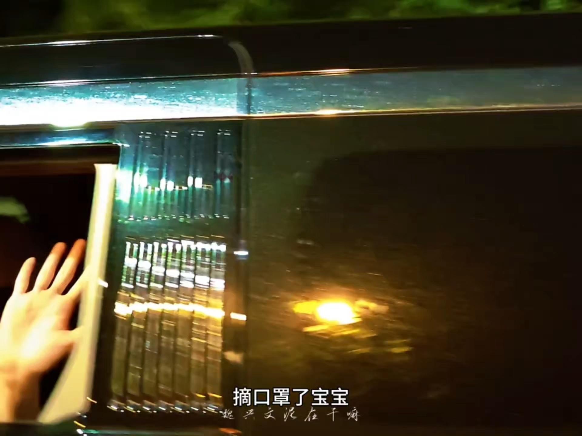 这个视频的幸福浓度好高❤️宝宝还说拜拜了🥺好幸福好幸福 喜欢世界上最可爱的魏大