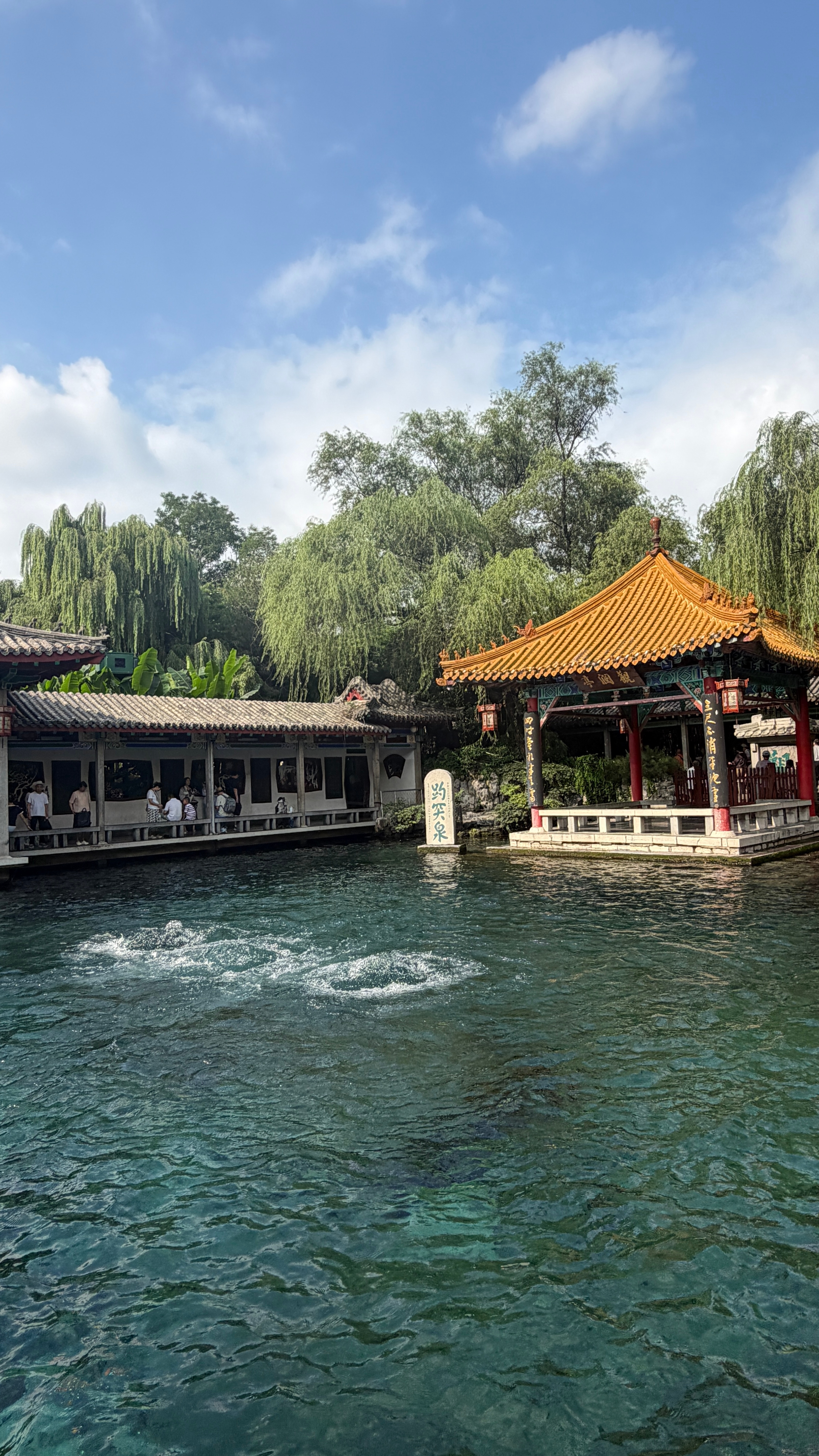 来到我家后花园🪷趵突泉 济南·趵突泉公园