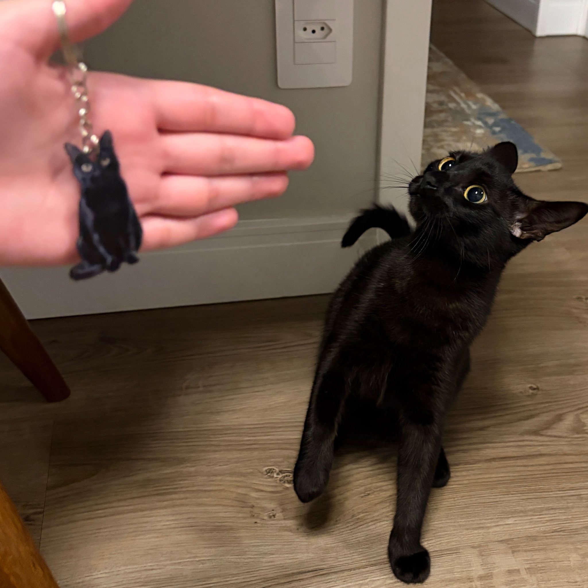 给猫咪做了个钥匙扣 