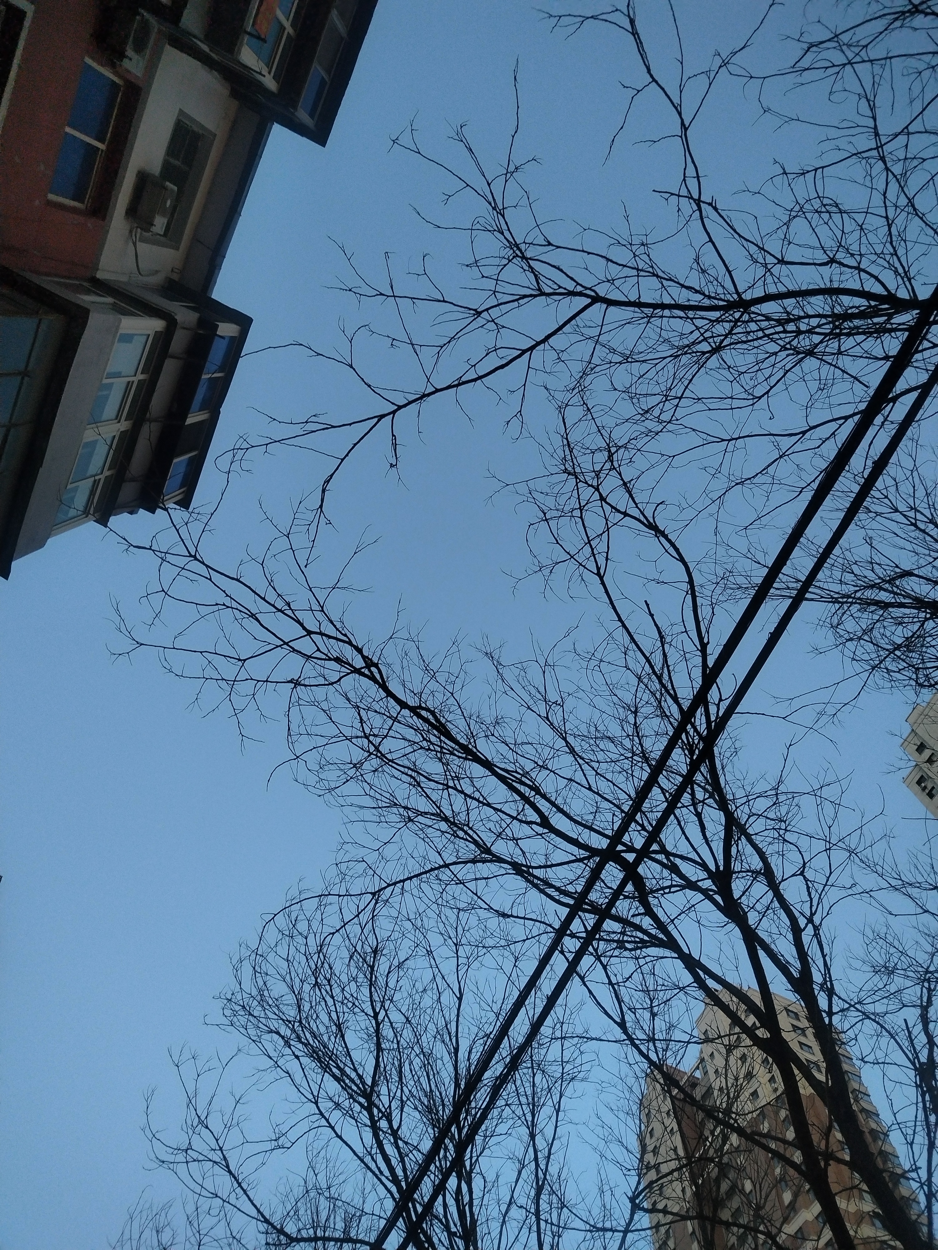 你听寂寞在唱歌，温柔的疯狂的，悲伤越来越深刻，怎样才能够让它停呢 