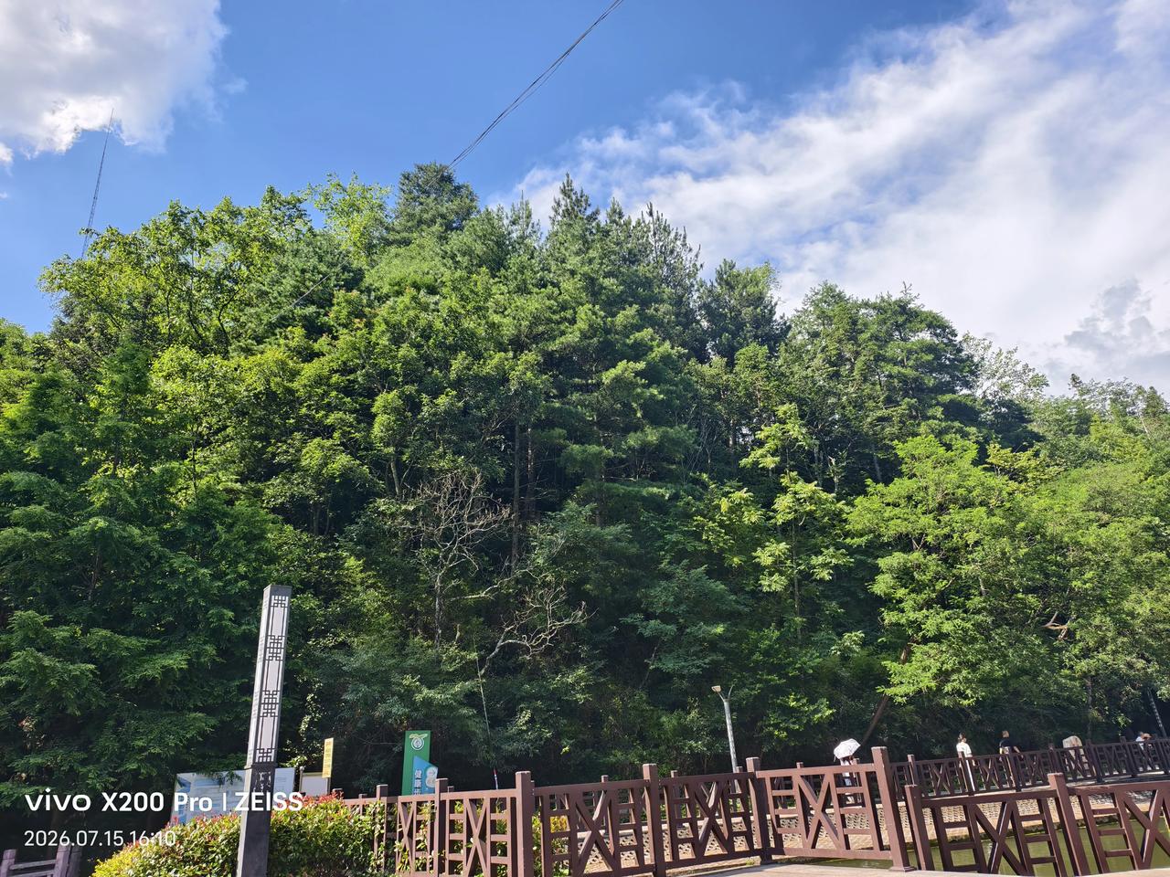 杉木公园看着好美的地方，每天我们都在这里吸收着新鲜空气。