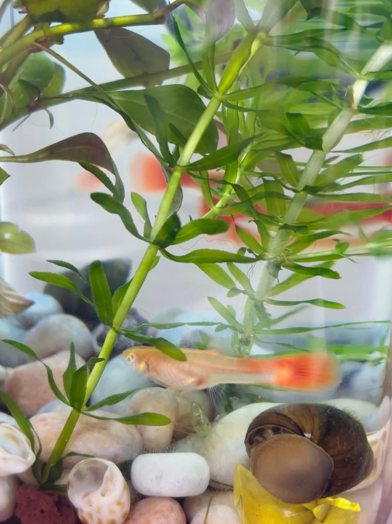 熬夜对人最直观的影响虽然知道熬夜的损伤是不可逆的，但有时候又不得不熬，每次熬完大