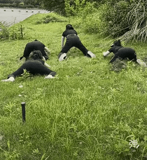 蛤蟆派西毒欧阳锋亲传弟子