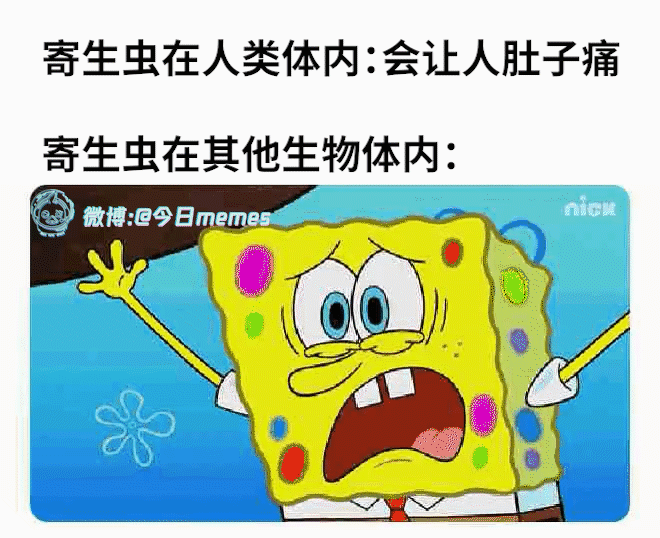 别细想（9gag）今日meme[超话]今日memes ​​​