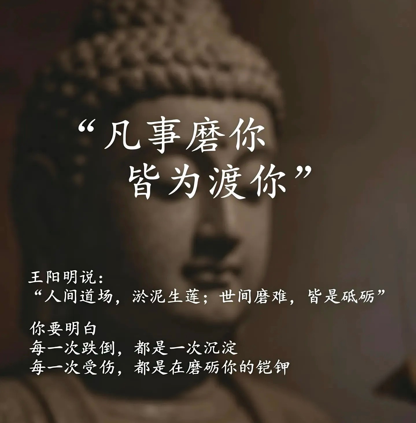 各位股友们早上好，今天又到周三了，赶紧动起来，全都别潜水、 今天盘中开新仓，打起