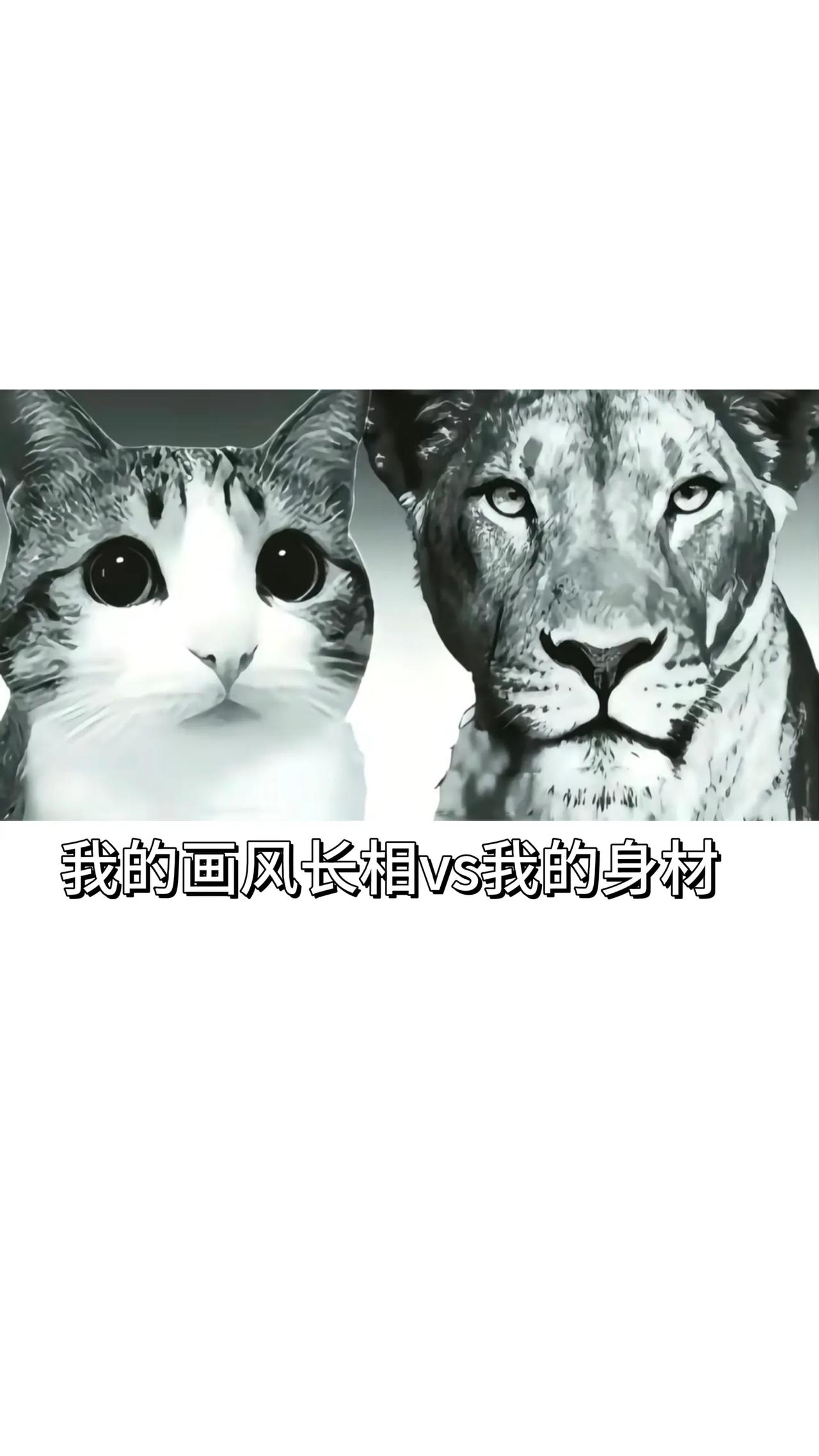 各过各的。二创 手绘 反差 肩宽腰窄