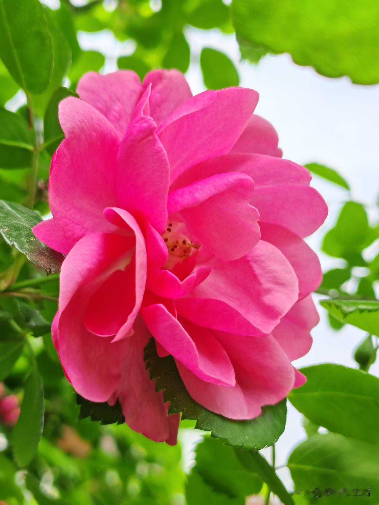 旺自己的10条纪律，
能遵守5个以上，
一定能越来越顺，越来越旺：
1.不说“郁