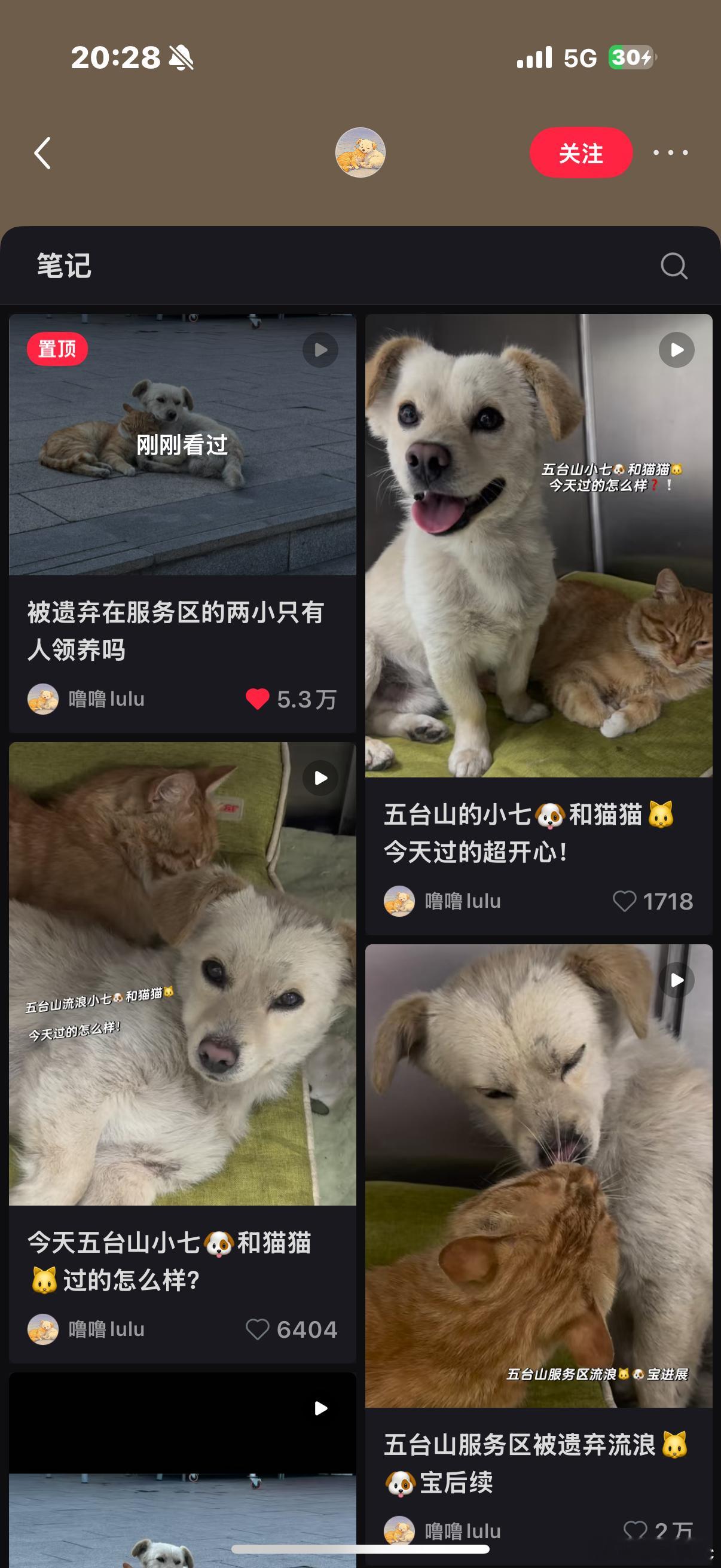 你们有刷到这个吗，当时看到觉得好可怜，眼睛湿润😭第一次看到猫狗这么彼此陪伴依偎